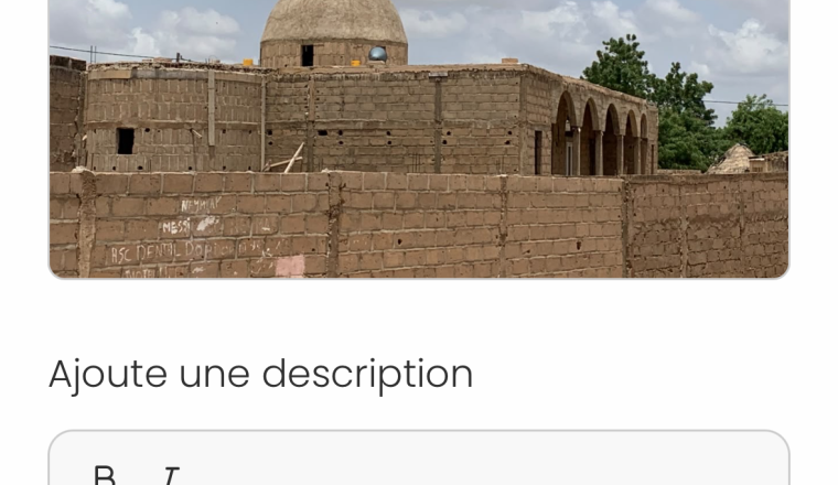 🕌 ENSEMBLE, ACHEVONS LA GRANDE MOSQUÉE DE BARKÉDJI