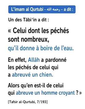 Image justificative de la cagnotte