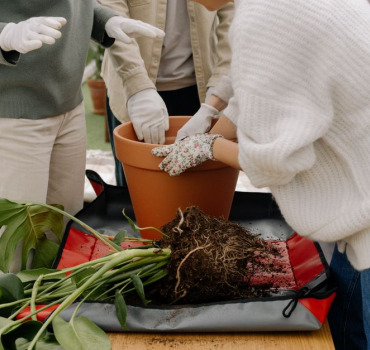 Pot de départ Anne (RPE Élancourt)