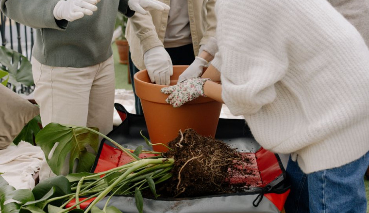 Pot de départ Anne (RPE Élancourt)