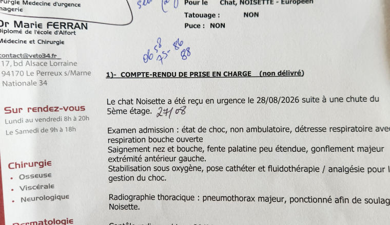 Image justificative de la cagnotte