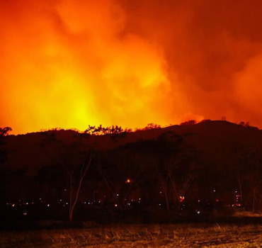 🇩🇿 Collecte Incendie Algérie 🇩🇿