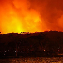 🇩🇿 Collecte Incendie Algérie 🇩🇿