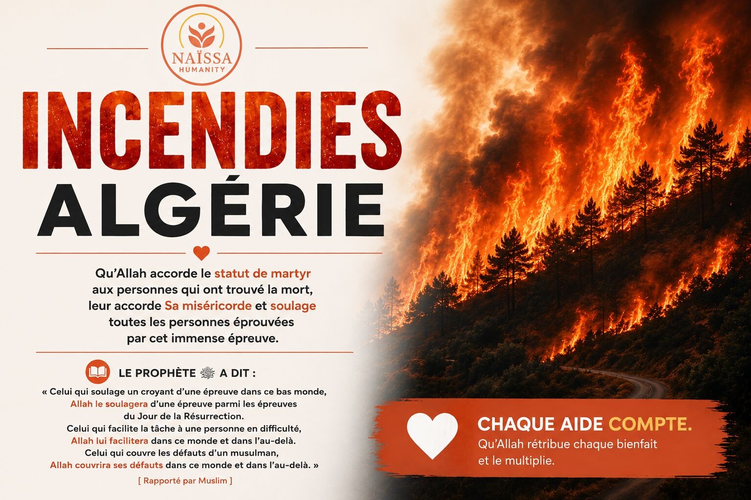 INCENDIE ALGÉRIE