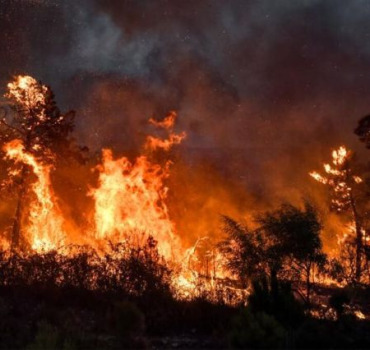 Urgence incendies en Algérie