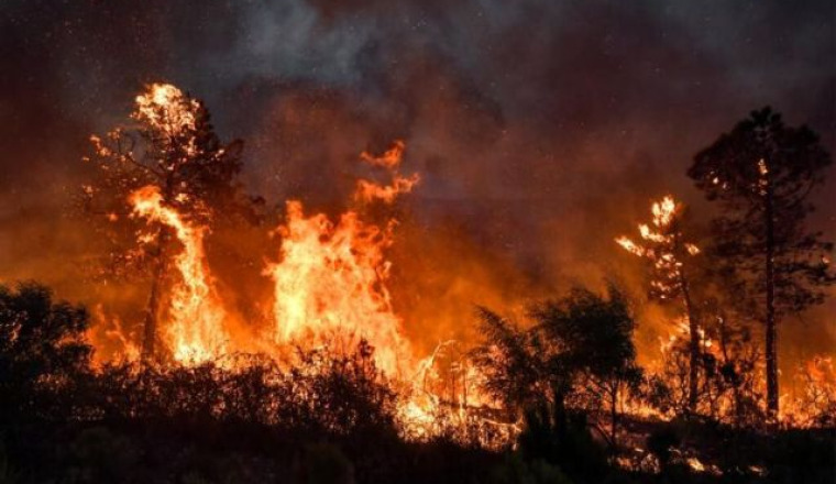 Urgence incendies en Algérie