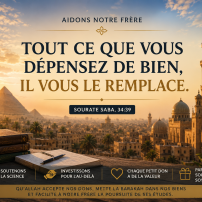 A brother from France who emigrated to Egypt needs your help