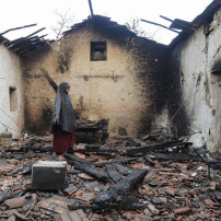 🇩🇿 SOLIDARITÉ AVEC LES VICTIMES DES INCENDIES EN ALGÉRIE