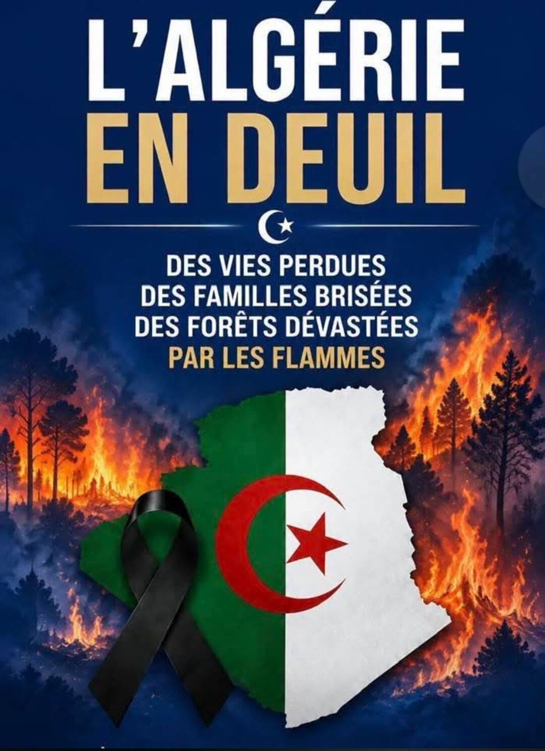 Aide humanitaire incendie Jijel (Algerie)