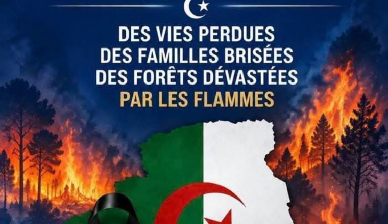 Aide humanitaire incendie Jijel (Algerie)