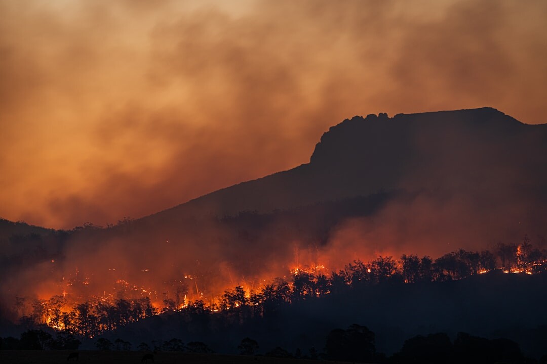 Aide aux algeriens du aux incendies