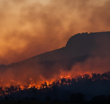 Aide aux algeriens du aux incendies
