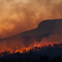 Aide aux algeriens du aux incendies
