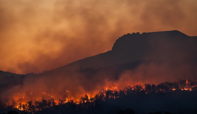 Aide aux algeriens du aux incendies