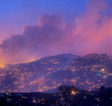 🇩🇿 Solidarité Algérie  🔥 ILS ONT TOUT PERDU EN QUELQUES HEURES Aidons les victimes des incendies