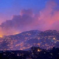 🇩🇿 Solidarité Algérie  🔥 ILS ONT TOUT PERDU EN QUELQUES HEURES Aidons les victimes des incendies