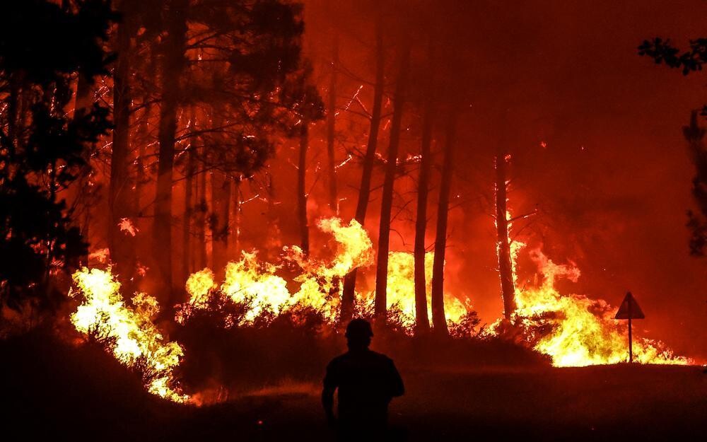 URGENCE - INCENDIE EN ALGÉRIE