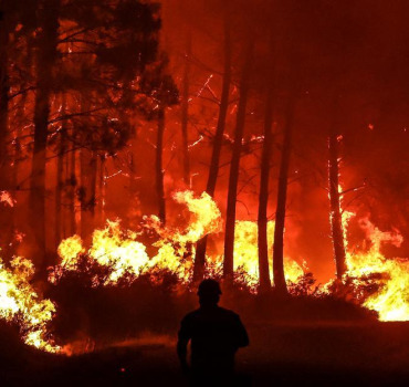 URGENCE - INCENDIE EN ALGÉRIE