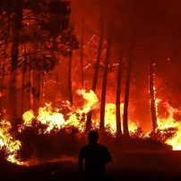 URGENCE - INCENDIE EN ALGÉRIE