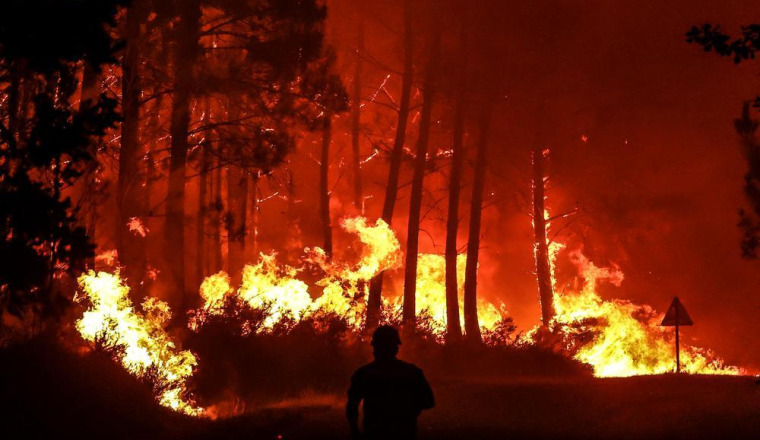 URGENCE - INCENDIE EN ALGÉRIE