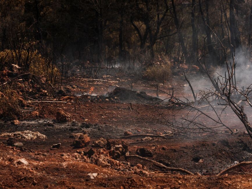 Soutien aux sinistrés des incendies 26 aout au village Ait Driss Tichy