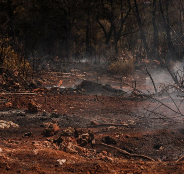 Soutien aux sinistrés des incendies 26 aout au village Ait Driss Tichy