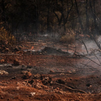 Soutien aux sinistrés des incendies 26 aout au village Ait Driss Tichy