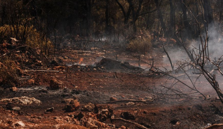 Soutien aux sinistrés des incendies 26 aout au village Ait Driss Tichy