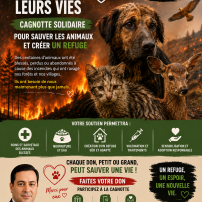 SOS Animals Fires Algeria 2026