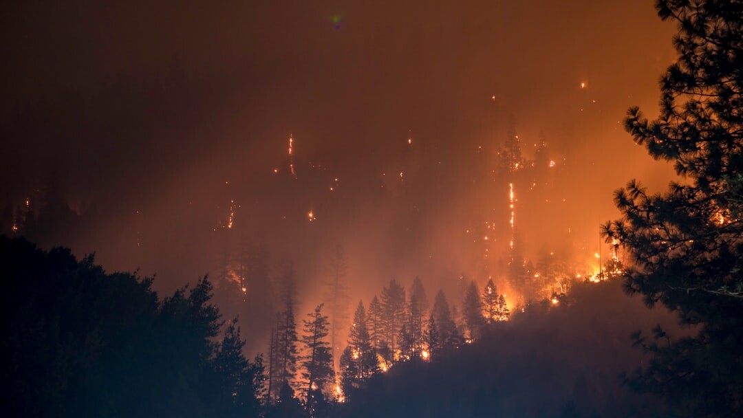 Faire résonner à nouveau l'Adhan à Jijel (incendies Algérie)
