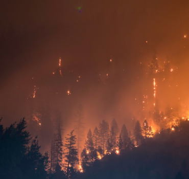 Faire résonner à nouveau l'Adhan à Jijel (incendies Algérie)