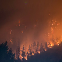 Faire résonner à nouveau l'Adhan à Jijel (incendies Algérie)