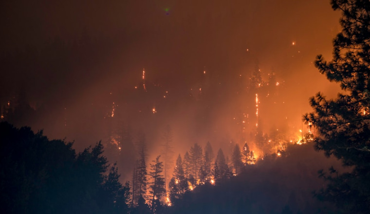Faire résonner à nouveau l'Adhan à Jijel (incendies Algérie)
