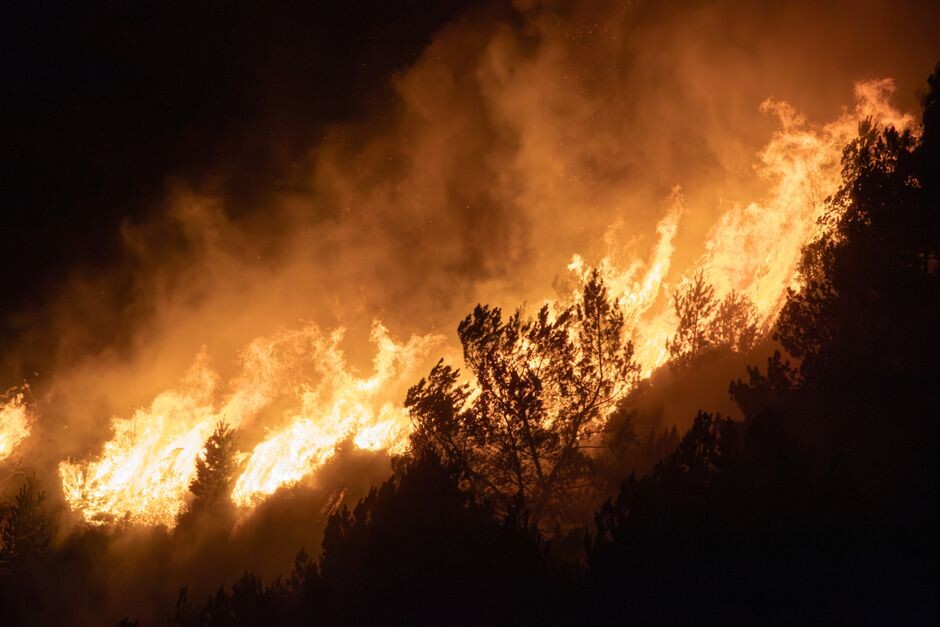 SOLIDARITÉ INCENDIES  EN ALGÉRIE 