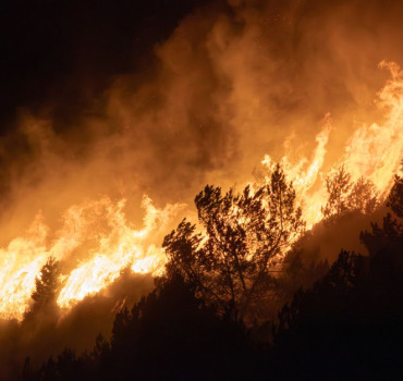SOLIDARITÉ INCENDIES  EN ALGÉRIE 