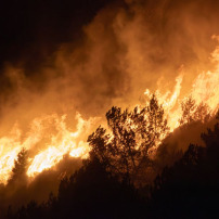 FIRE RELIEF IN ALGERIA
