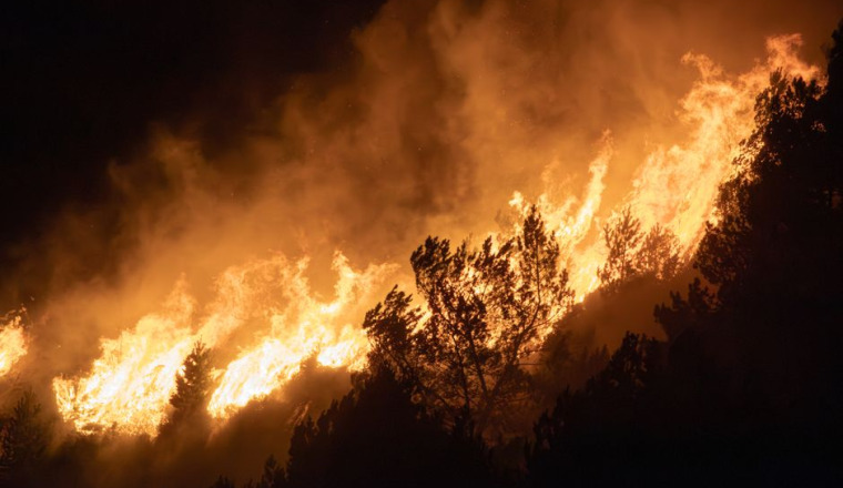 SOLIDARITÉ INCENDIES  EN ALGÉRIE 