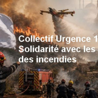 Incendies en Algérie : appel à la solidarité avec les sinistrés