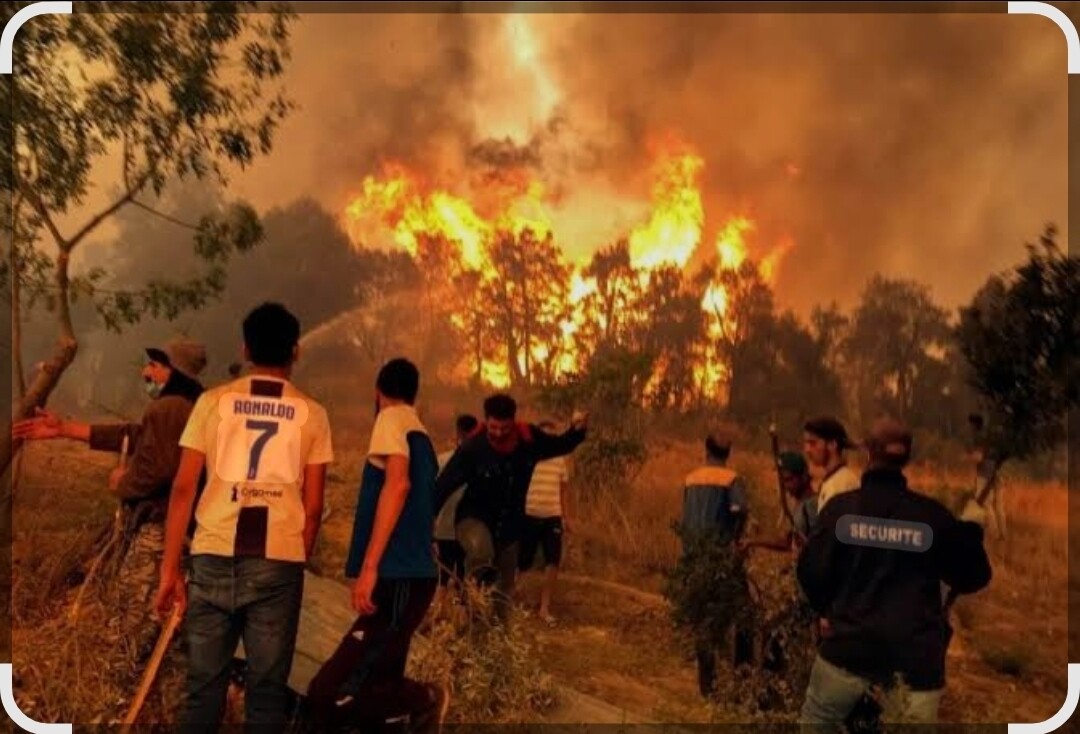 Image justificative de la cagnotte