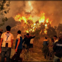 🇩🇿Solidarité pour nos Frères et sœurs Algérien 🇩🇿