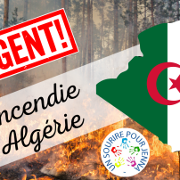 Urgence incendies en Algérie