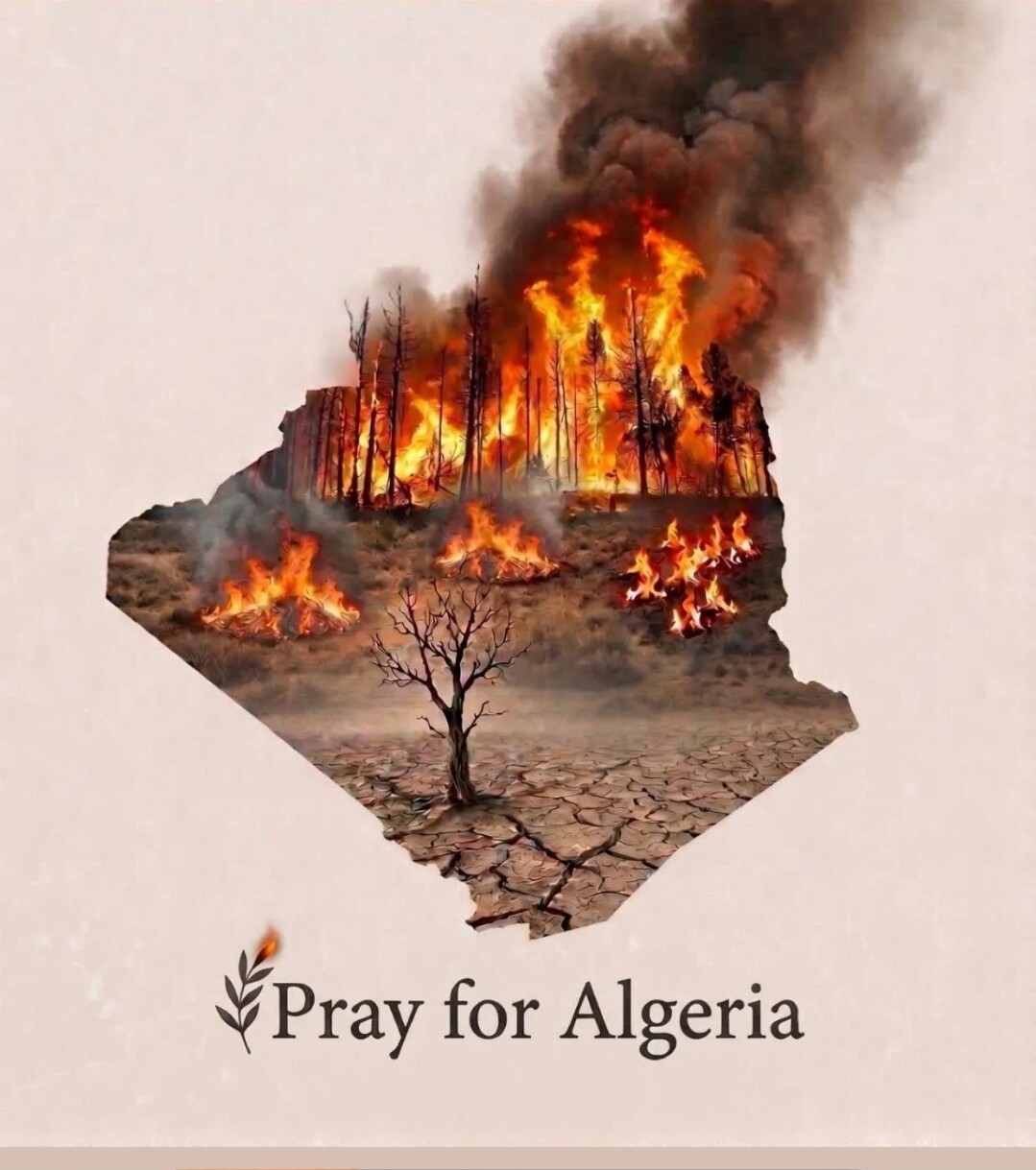 🇩🇿 Soutiens urgence Algérie - Mission humanitaire sur place.