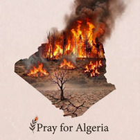 🇩🇿 Soutiens urgence Algérie - Mission humanitaire sur place.