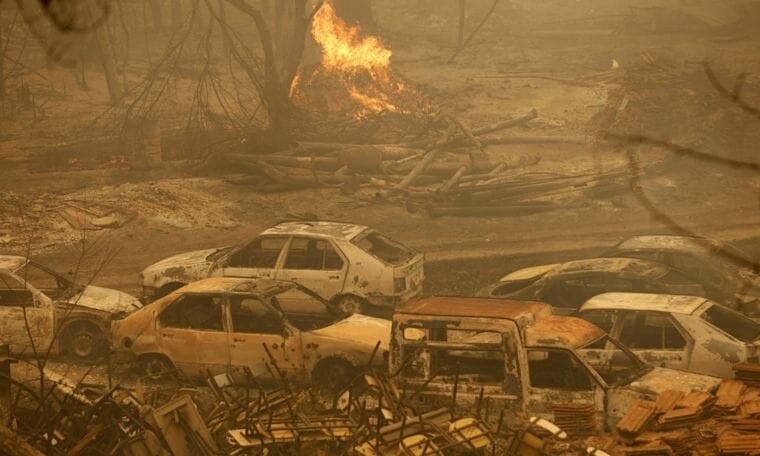 Solidarité avec les victimes des incendies en Algérie 