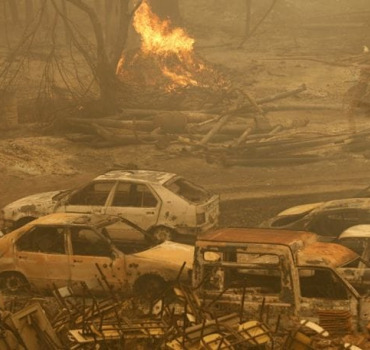 Solidarité avec les victimes des incendies en Algérie 