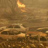 Solidarité avec les victimes des incendies en Algérie 