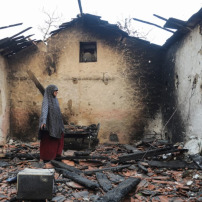 Algeria Fire Relief