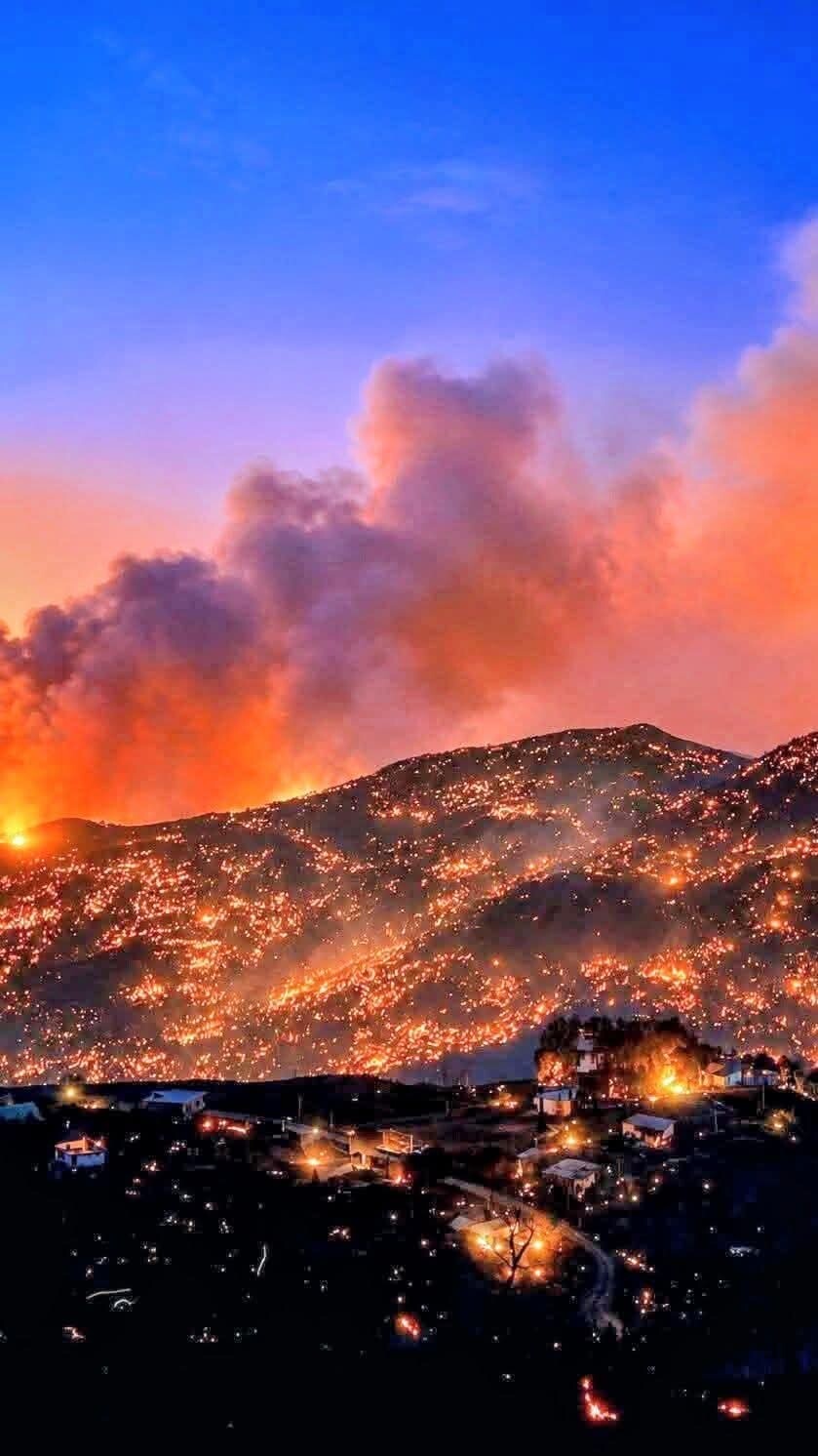 Urgence incendies Jijel : Appel à la solidarité