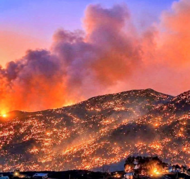 Urgence incendies Jijel : Appel à la solidarité