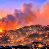 Urgence incendies Jijel : Appel à la solidarité